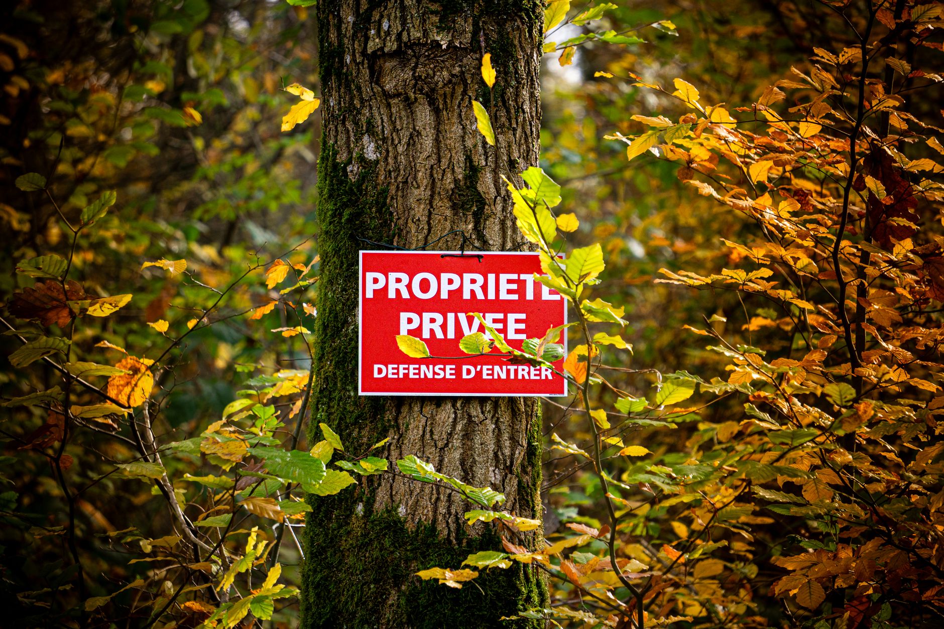 Détective privé à Metz
